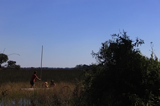 Swimming with Hippos in the Okavango Delta
