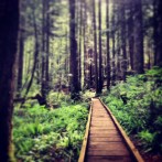 Jonathan Fields – Paving The Way Into An Uncertain Future